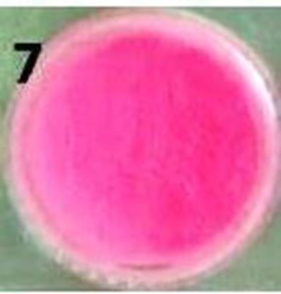 Изображение пигмент люминофор кислотно розовый